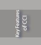 Key Feature of CCI